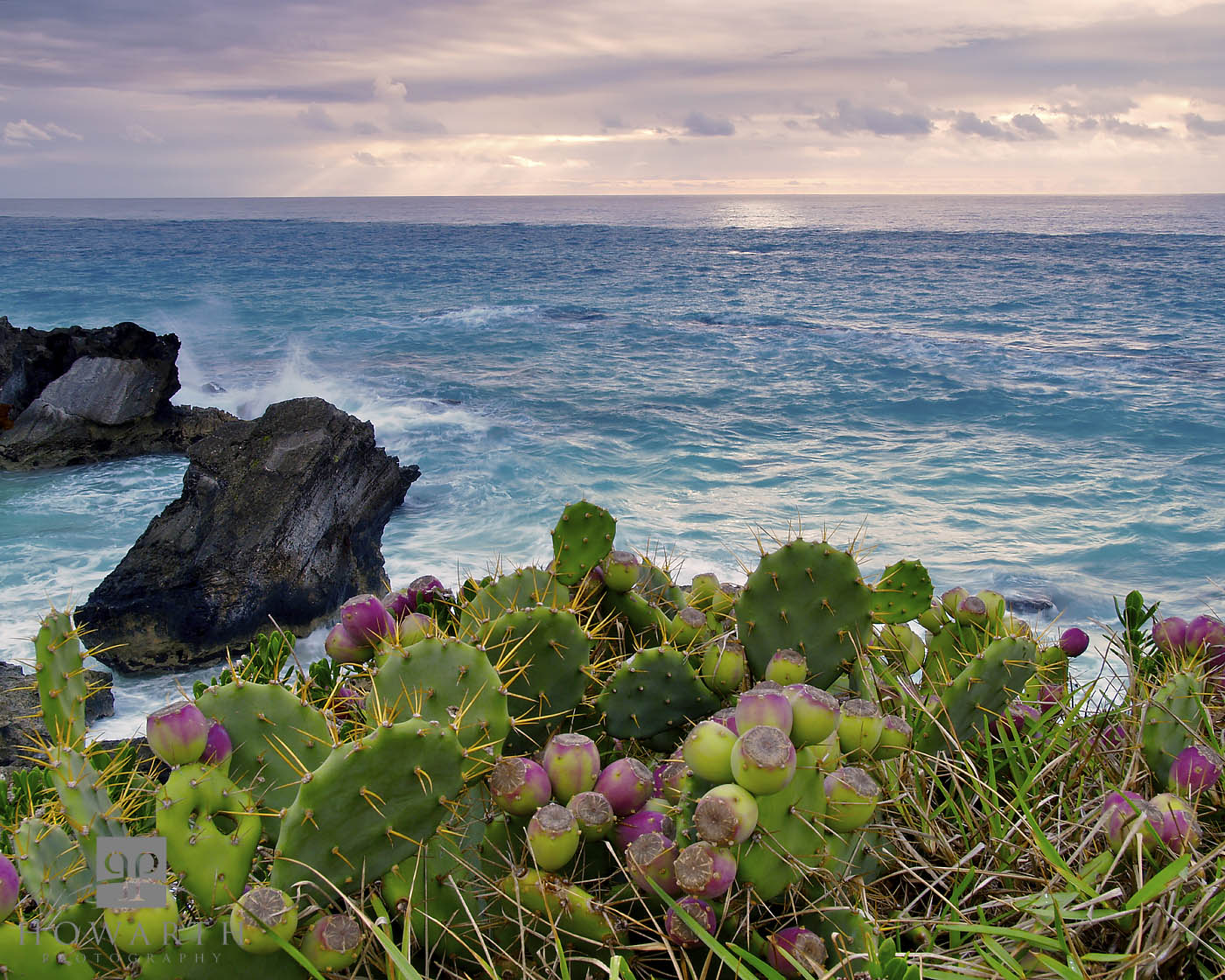 Watching the sunrise from the cliffs of Astwood Park